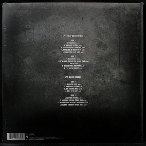 Reinventing The Steel