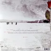 A Beautiful Lie