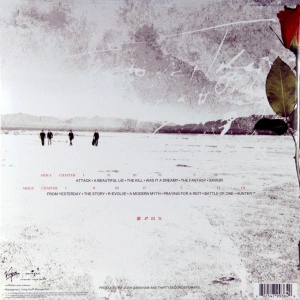 A Beautiful Lie