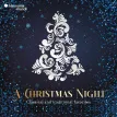 A Christmas Night
