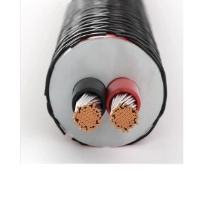 DALI CONNECT SC RM230S 4m