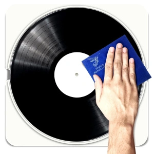 Мат для чистки пластинок Analog Renaissance AR-4