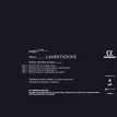 Haydn 2032 No.6: Lamentatione (with Kammerorchester Basel)