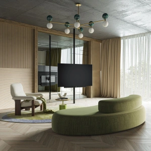 LOEWE BILD I 65 OLED