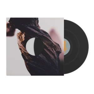 The Night The Zombies Came