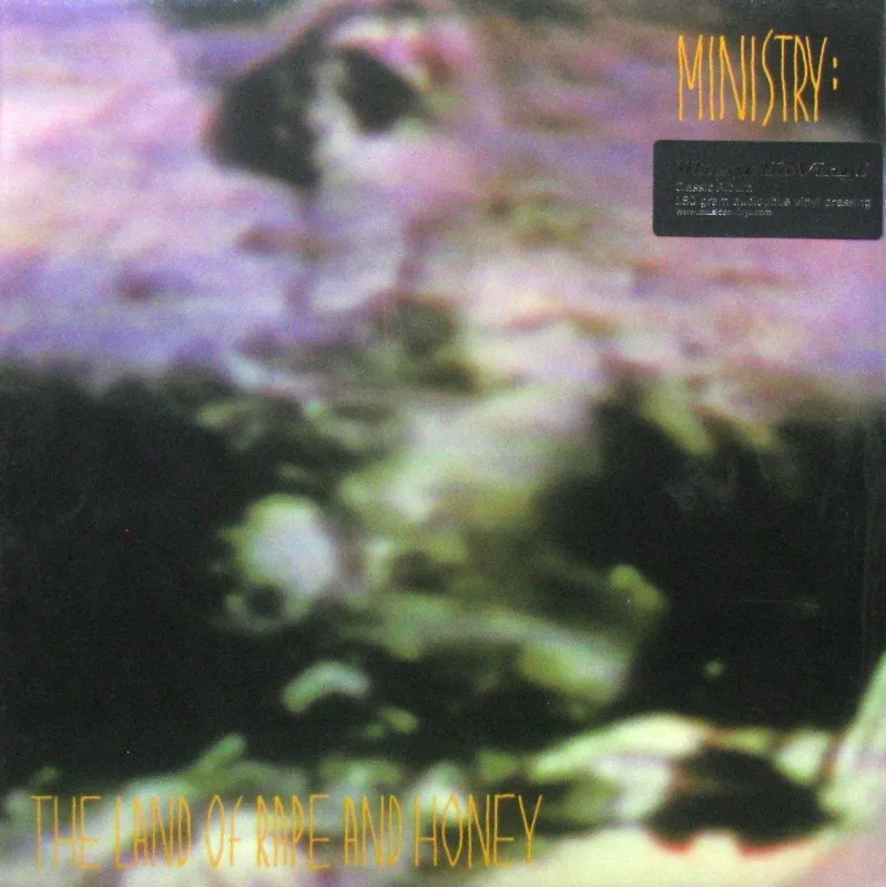 The Land Of Rape And Honey