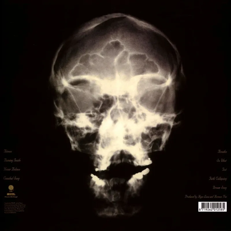 The Mind Is A Terrible Thing To Taste