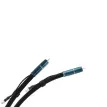 Atlas Mavros Ultra Grun RCA 1 m