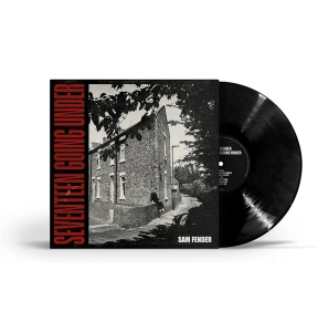 Seventeen Going Under