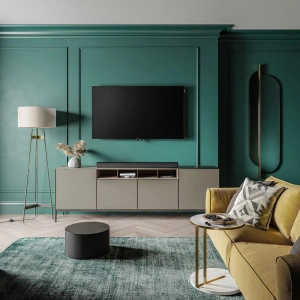 LOEWE BILD I 55 OLED