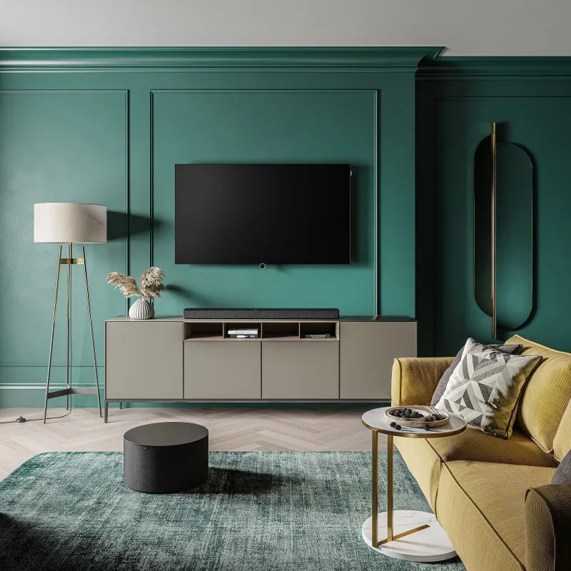 LOEWE BILD I 55 OLED