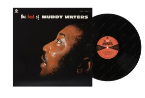 The Best Of Muddy Waters