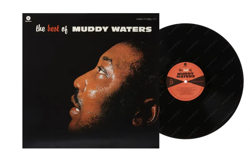 The Best Of Muddy Waters