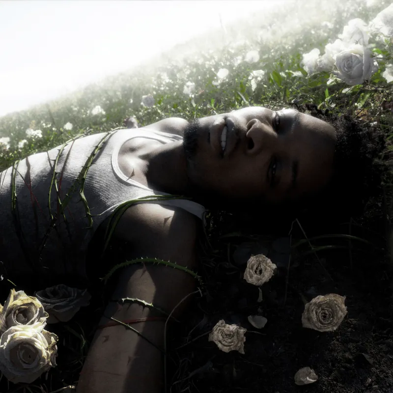 Withered (Pure Cloudy White Vinyl)