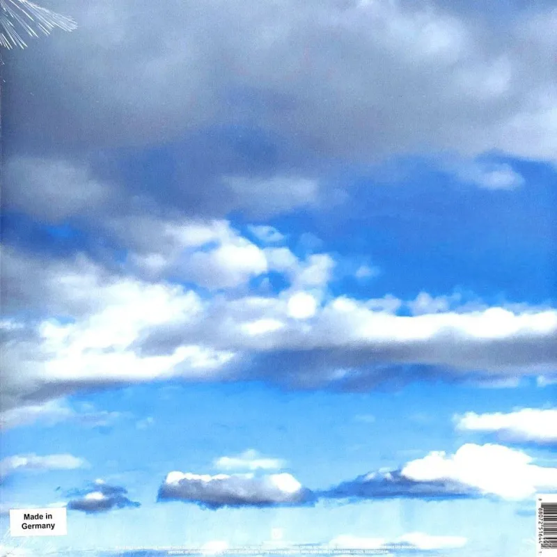 It's The End Of The World But It's A Beautiful Day (Orange Opaque Vinyl)