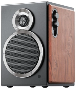 FIIO SA1 (F3053S) Twilight Black