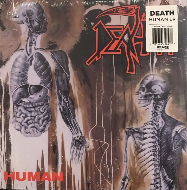 Human