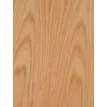 Audio Physic LUNA Natural Oak