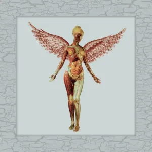 In Utero (30th Anniversary Box Set)