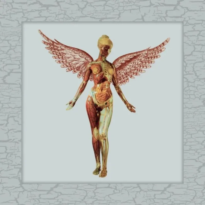 In Utero (30th Anniversary Box Set)
