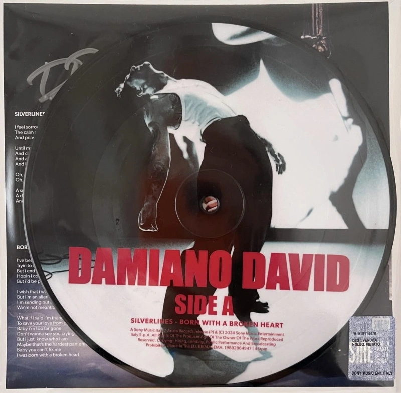 Silverlines (Signed Picture Disc)