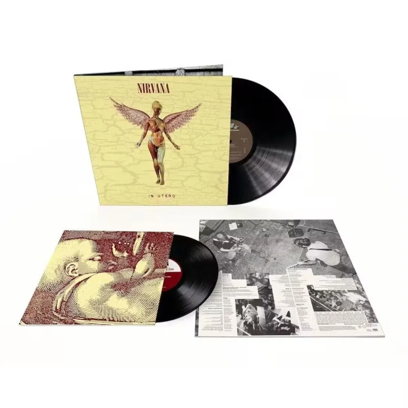 In Utero (30th Anniversary)