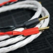 Wireworld Luna 10 Biwire Speaker Cable 2.5m (LUB2.5MB-10)