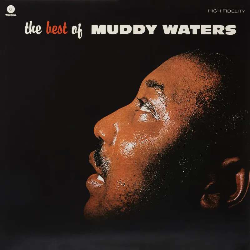 The Best Of Muddy Waters