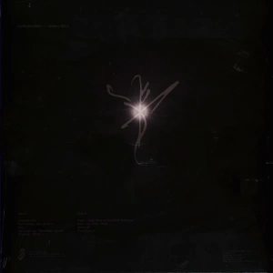 Liminal Soul (Silver Marble Vinyl)