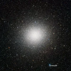 Immensita