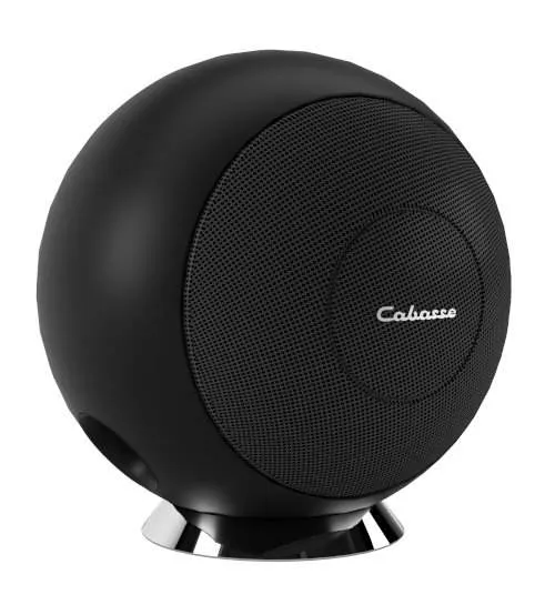 Cabasse RIGA 2 on Base Black
