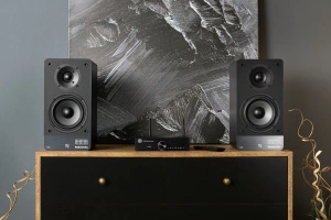 Radiotehnika S-20N Black Ash