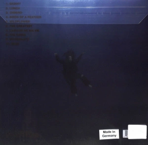 Hit Me Hard And Soft (Special Anniversary Edition Blue & Orange Splatter Biovinyl)