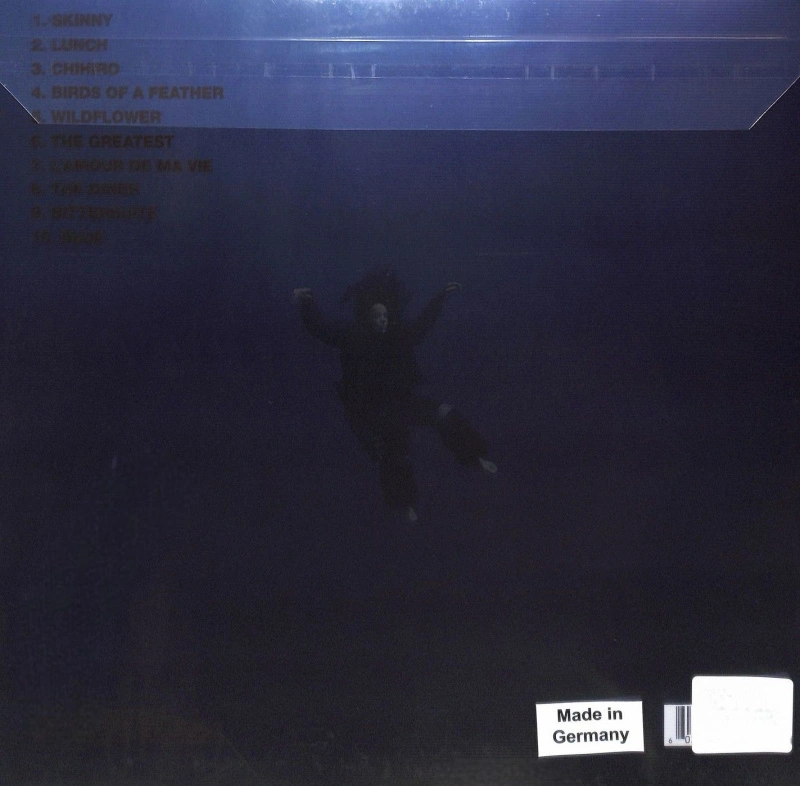 Hit Me Hard And Soft (Special Anniversary Edition Blue & Orange Splatter Biovinyl)