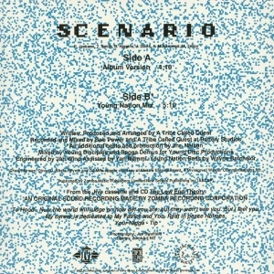 Scenario