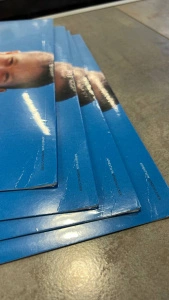 Windowlicker (Bioplastic Vinyl)