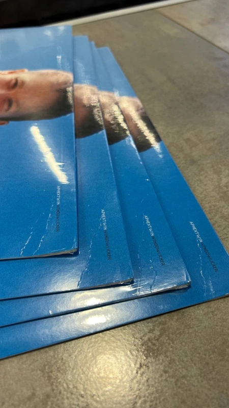 Windowlicker (Bioplastic Vinyl)