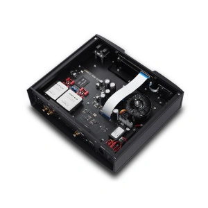 AURALiC VEGA G1 Black