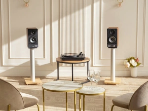 Radiotehnika S-20NA Walnut