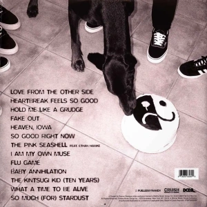 So Much (For) Stardust