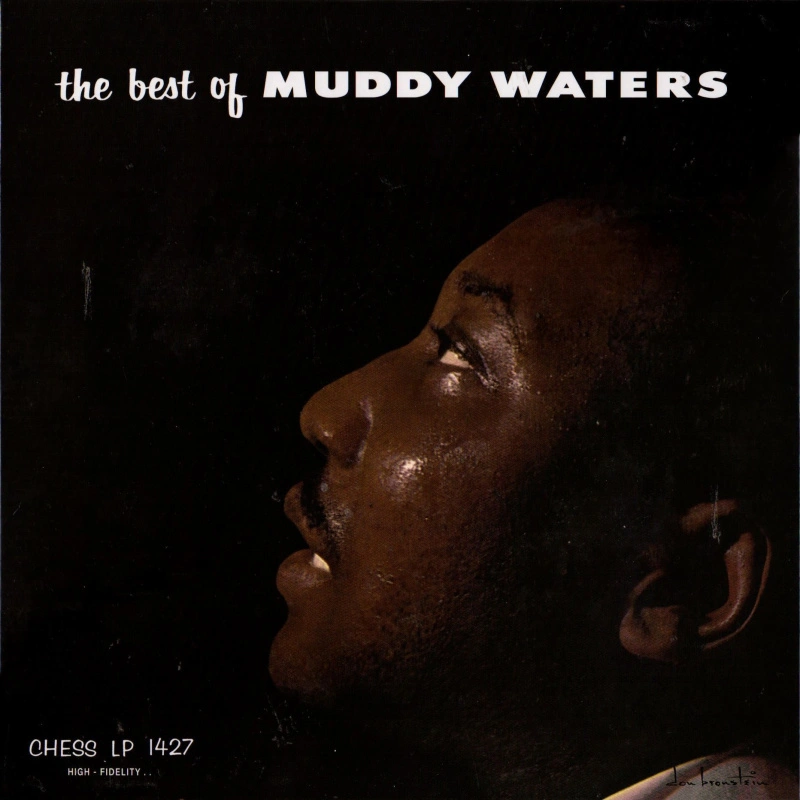 The Best Of Muddy Waters (Mono)