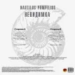 Невидимка