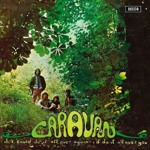 If I Could Do It All Again I'd Do It All Over You