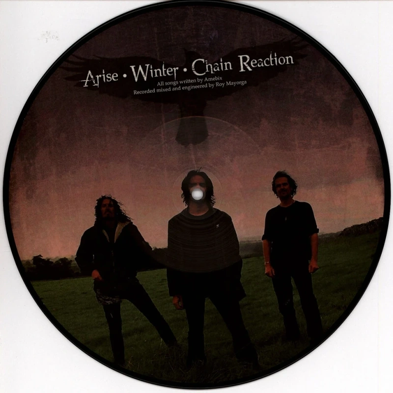 Redux (Picture Disc)