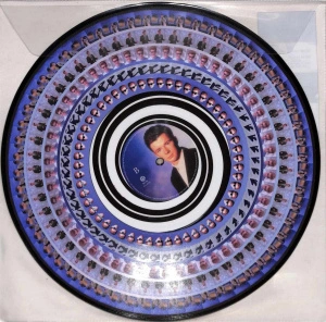 Never Gonna Give You Up (Zoetrope Picture Disc)
