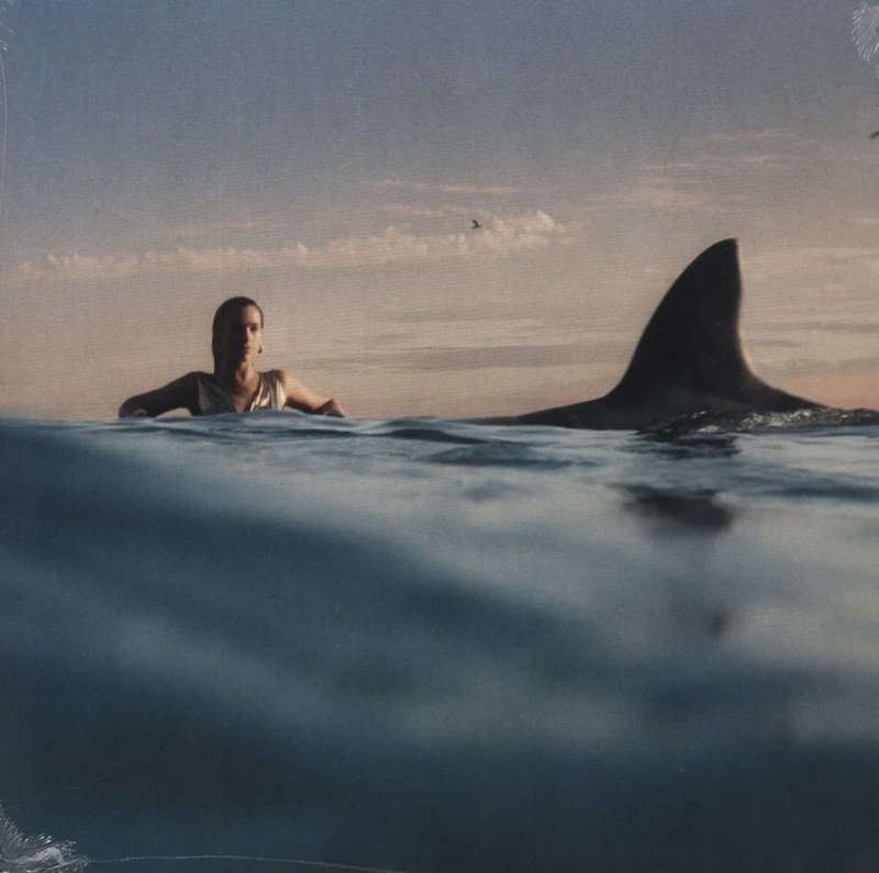 Radical Optimism (Dark Cobalt Blue Translucent Vinyl)