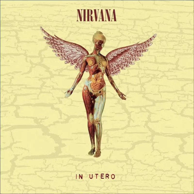 In Utero (30th Anniversary)