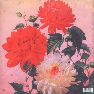 Asunder, Sweet And Other Distress