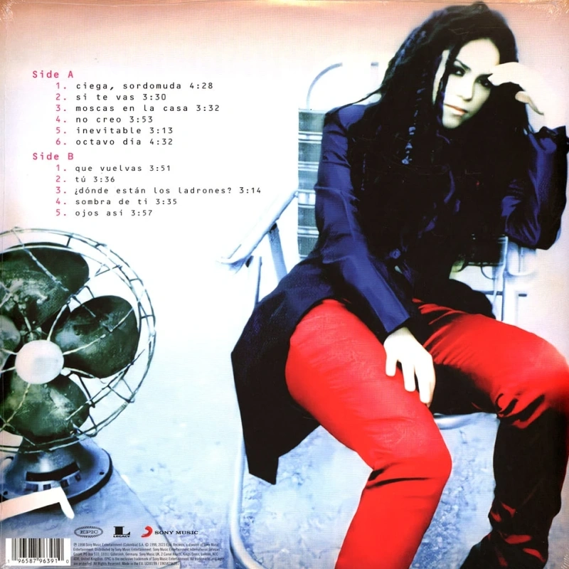 Donde Estan Los Ladrones?