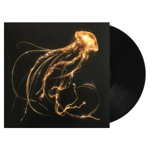 Back To The Water Below 